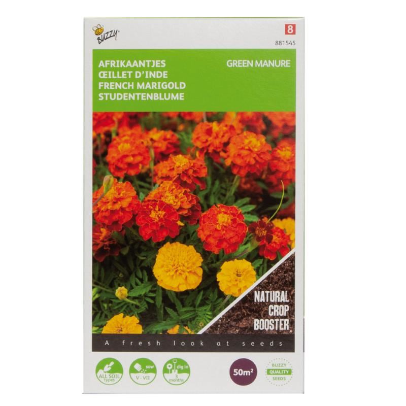 Groenbemester-Tagetes-50-gram