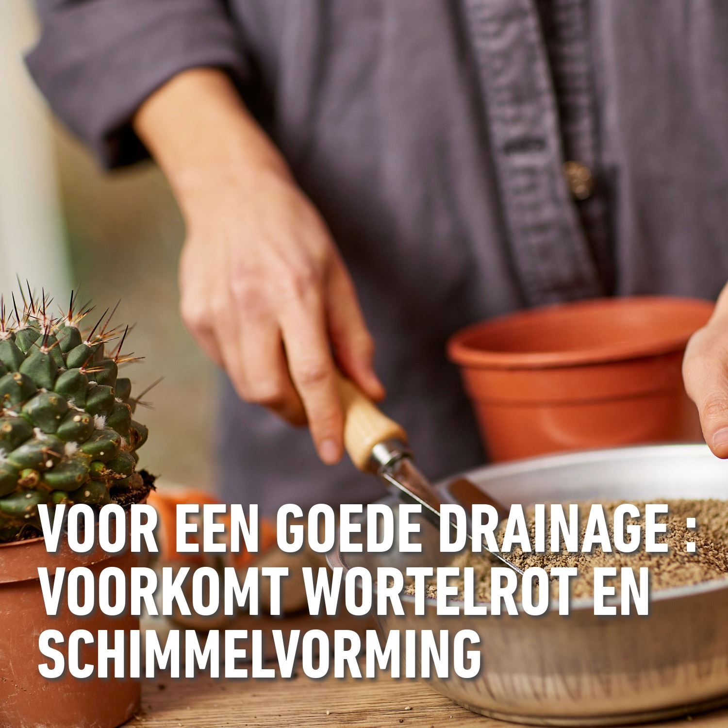 Granuplant-Cactussen-Vetplanten-3L