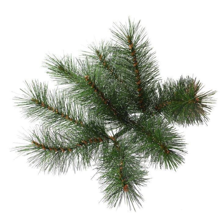 Cleveland-Frosted-Pine-225cm-