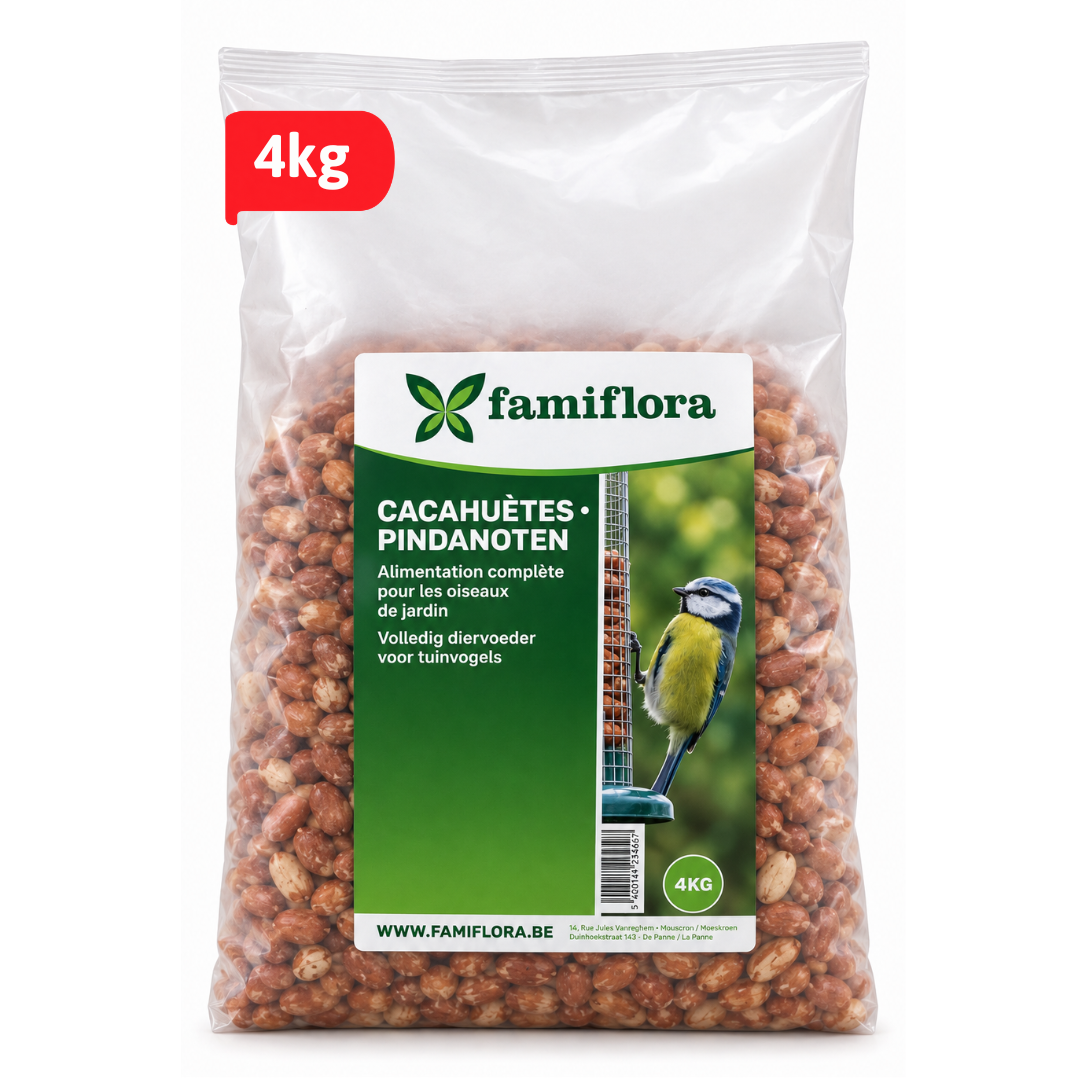Famiflora zak pinda's voor tuinvogels - 4KG - Vogelvoer - Wintervoer voor vogels - Natuurlijk - Energierijk
