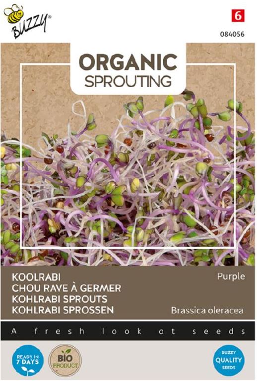 Buzzy-Organic-Sprouting-Koolrabi-rood-BIO-