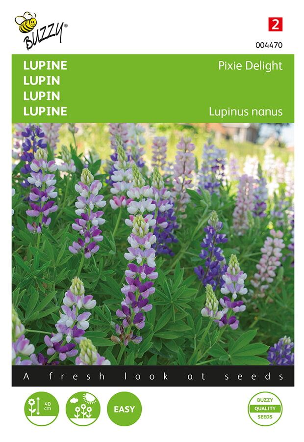 Buzzy-Lupinus-Lupine-Pixie-Delight-gemengd