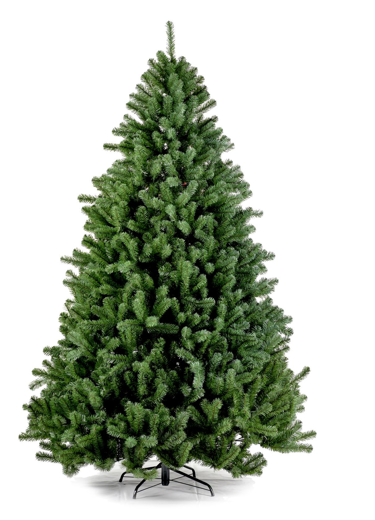 Boston-Spruce-Hinged-240cm