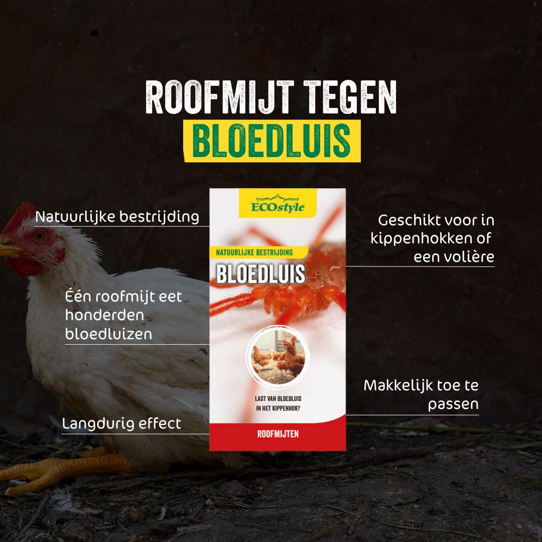 Roofmijt-tegen-bloedluis-bij-gevogelte-5-000-st-