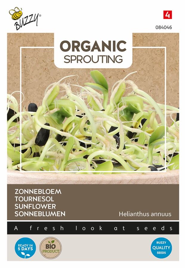 Buzzy-Organic-Sprouting-Zonnebloemkers-BIO-
