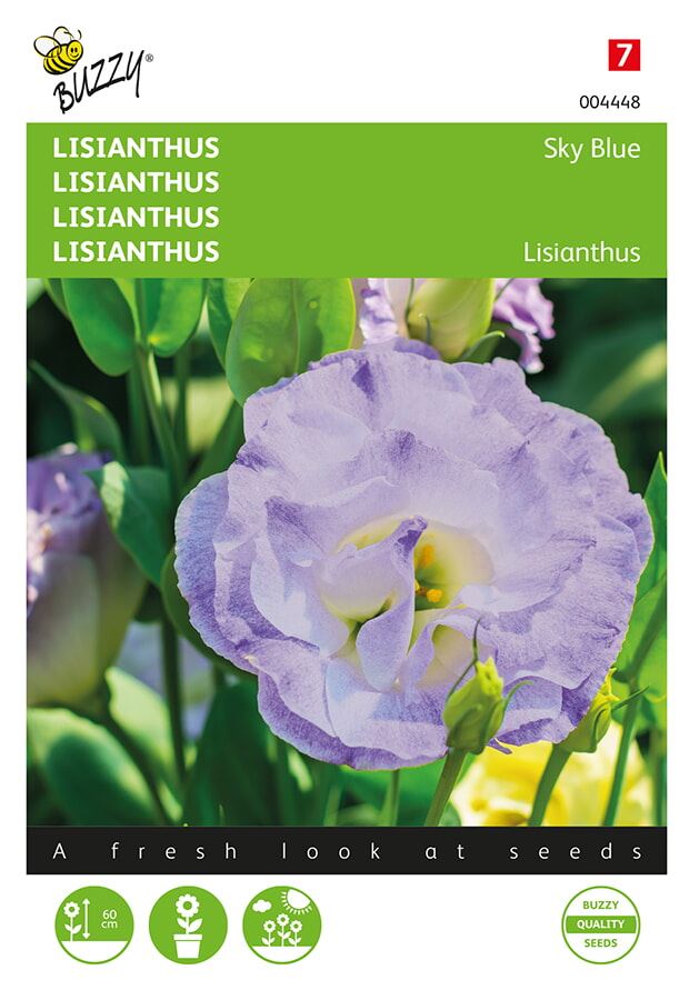 Buzzy-Lisianthus-mini-Sky-Blue