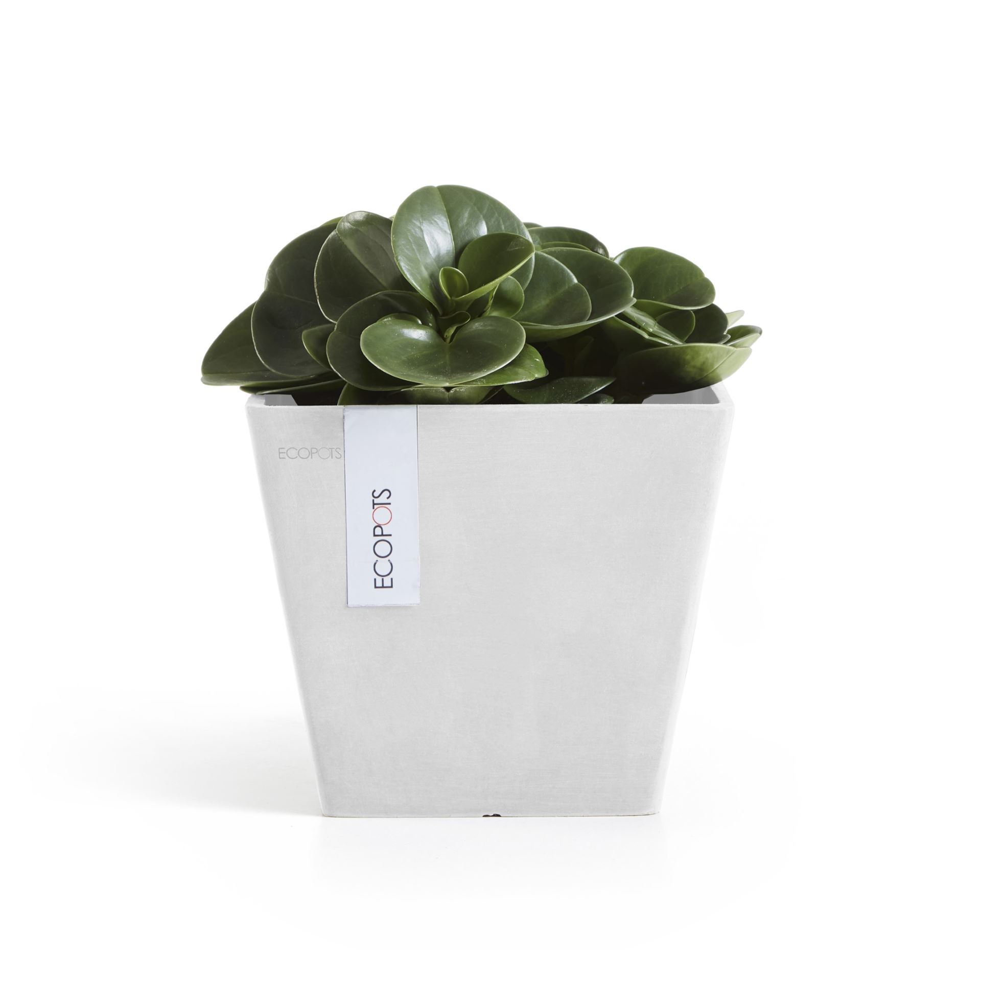 Ecopots-rotterdam-pure-white-LBH-20x20x17-5-cm