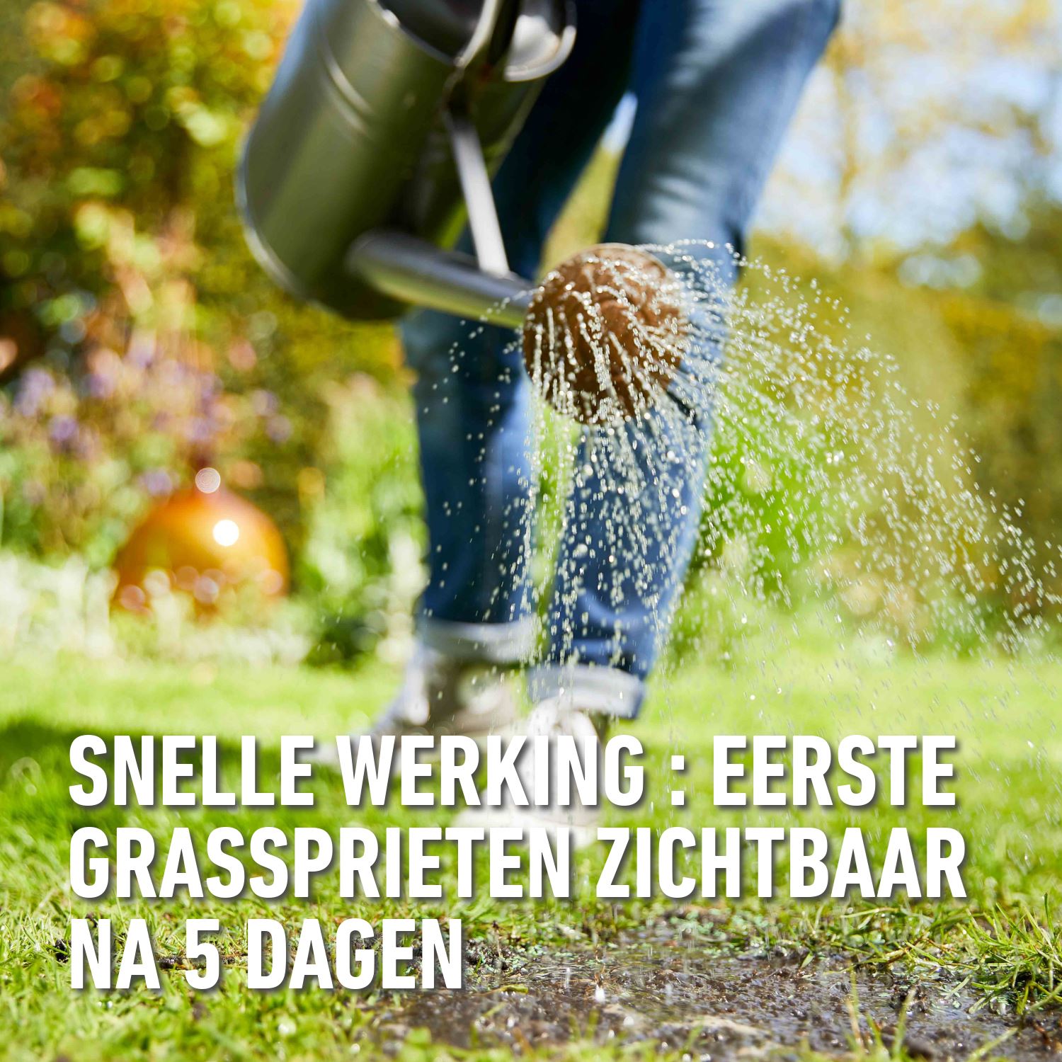 Compo-gazonzaad-gazonherstel-2kg