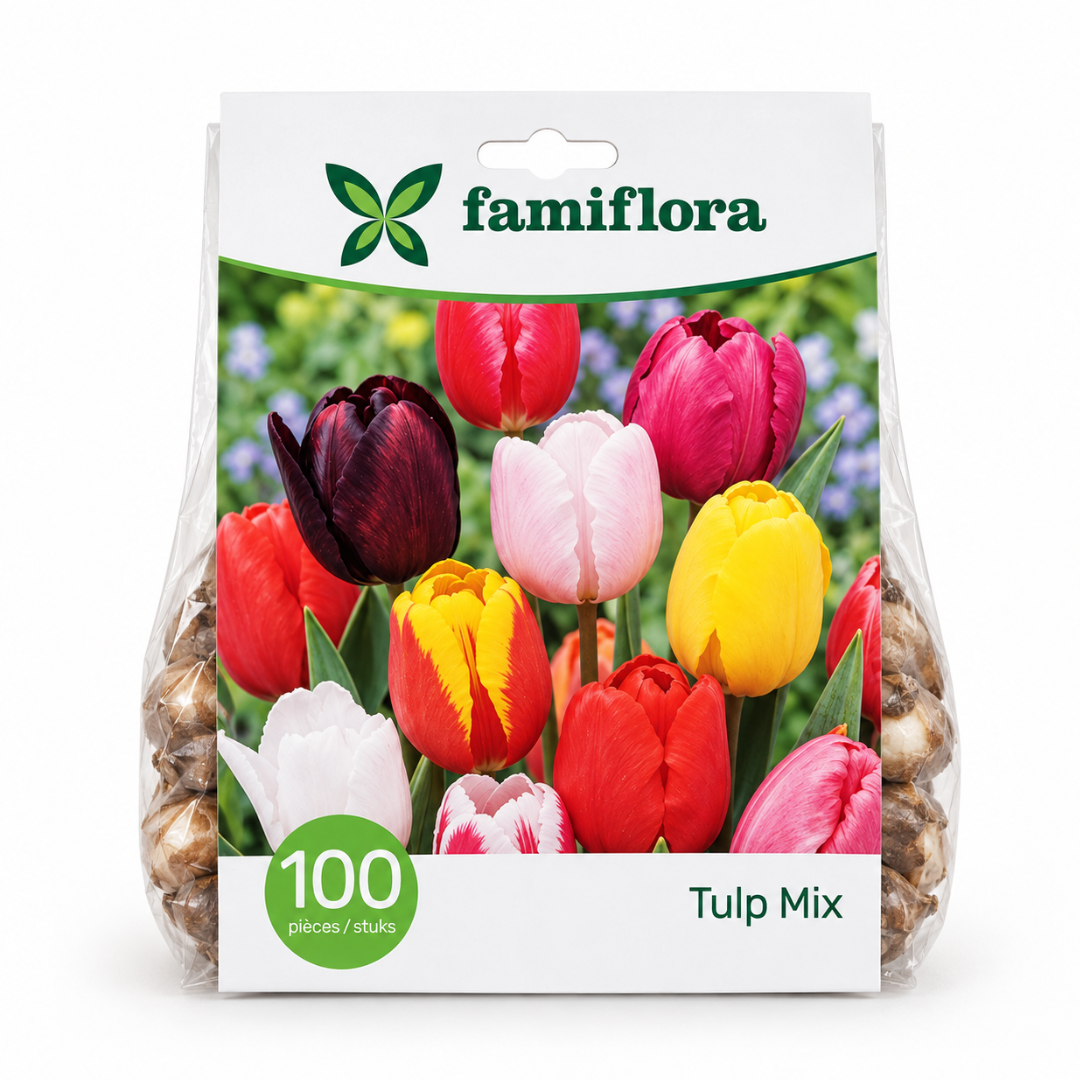 Famiflora Tulpen Mix - Voorjaarsbloeiers kleurrijk - 100 bloembollen - Tulipa