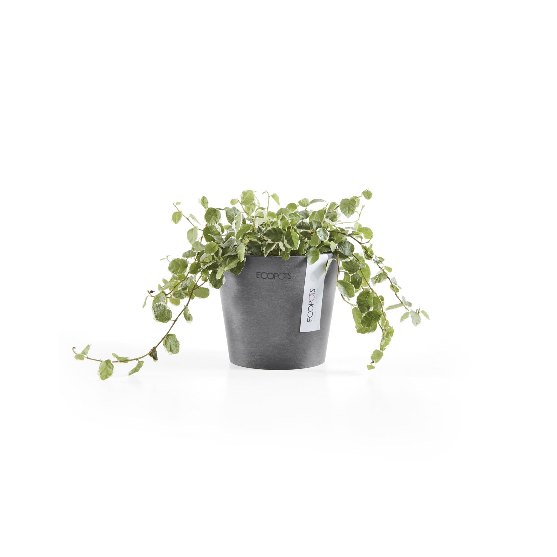 Ecopots-amsterdam-mini-grey-10-5-cm-H9-2-cm