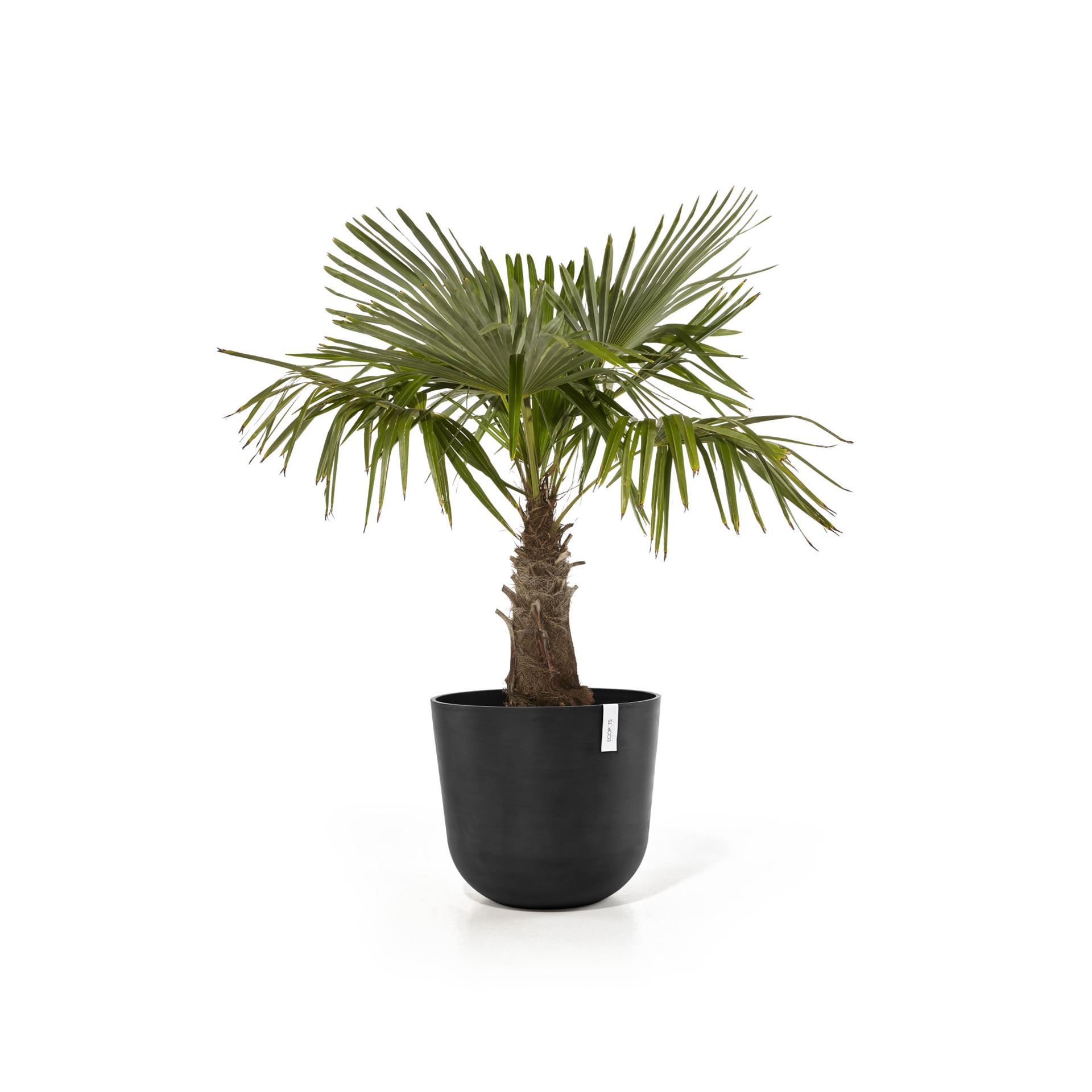 Ecopots-oslo-dark-grey-55-cm-H47-9-cm