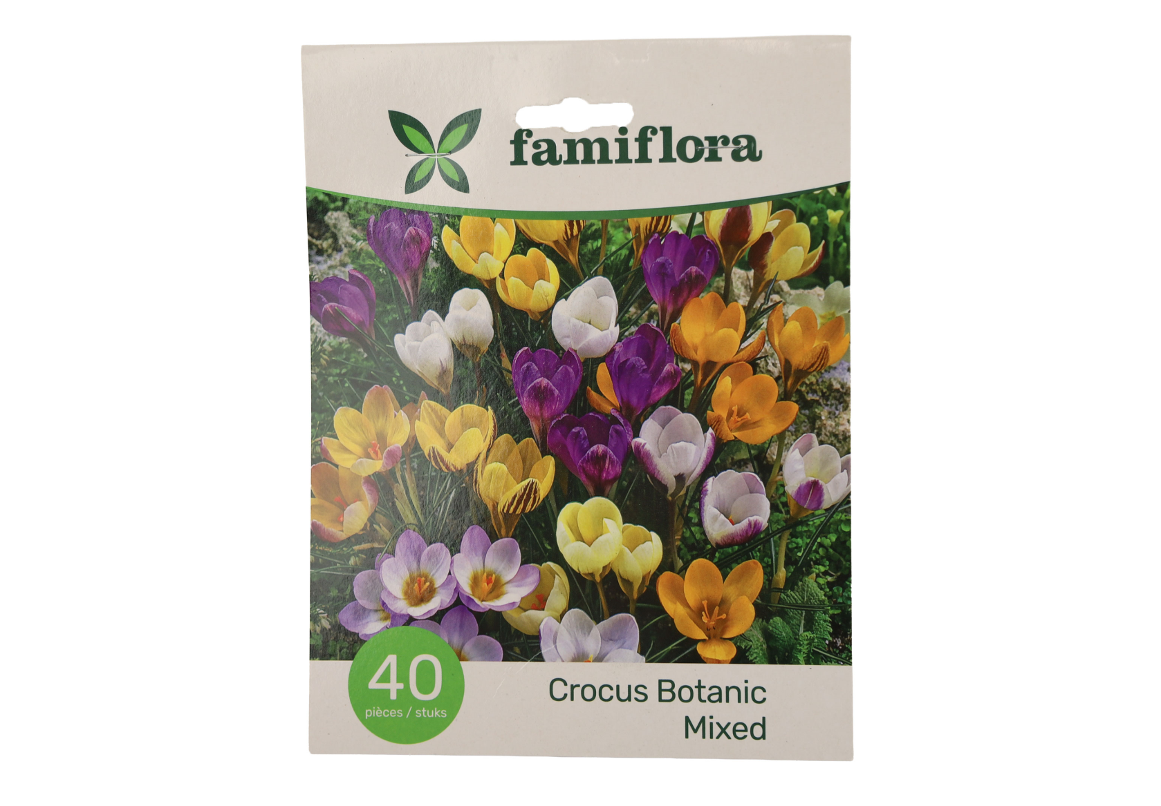 Famiflora Crocus Botanical - 40 bulbs - Spring flowering bulbs