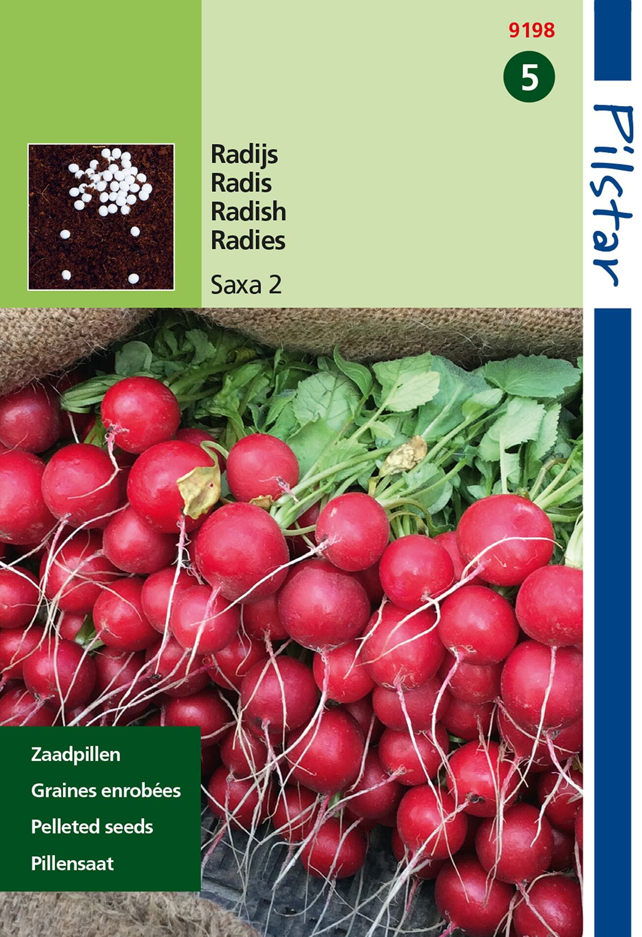 Pilstar-Themaserie-Radijs-Saxa