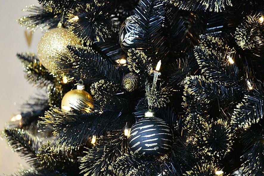 Shimmery-Golden-Black-Bristle-h228cm-500L