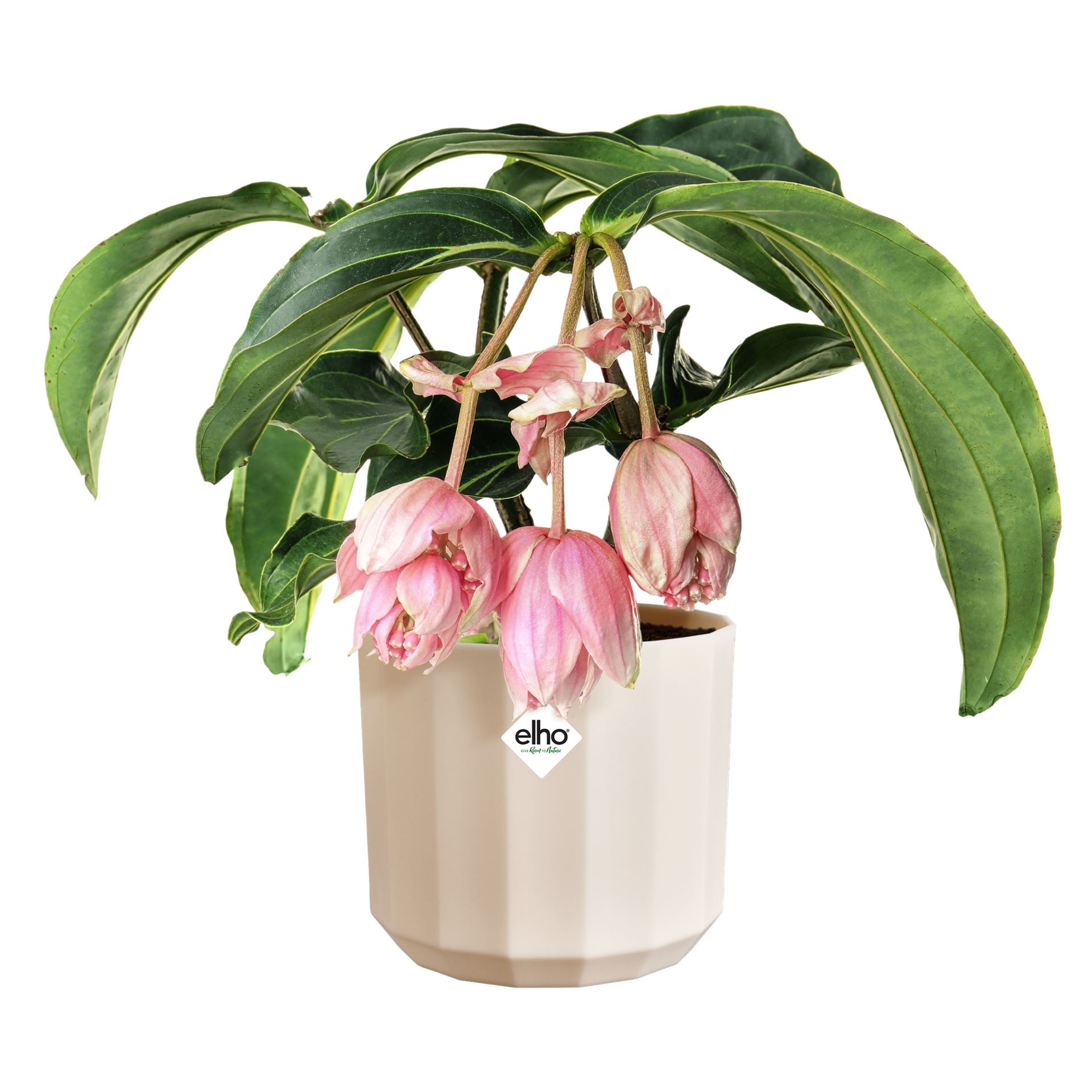 Elho-facet-rond-26cm-Amandelroze-Bloempot-voor-Binnen-100-Gerecycled-Plastic-26x-H23cm