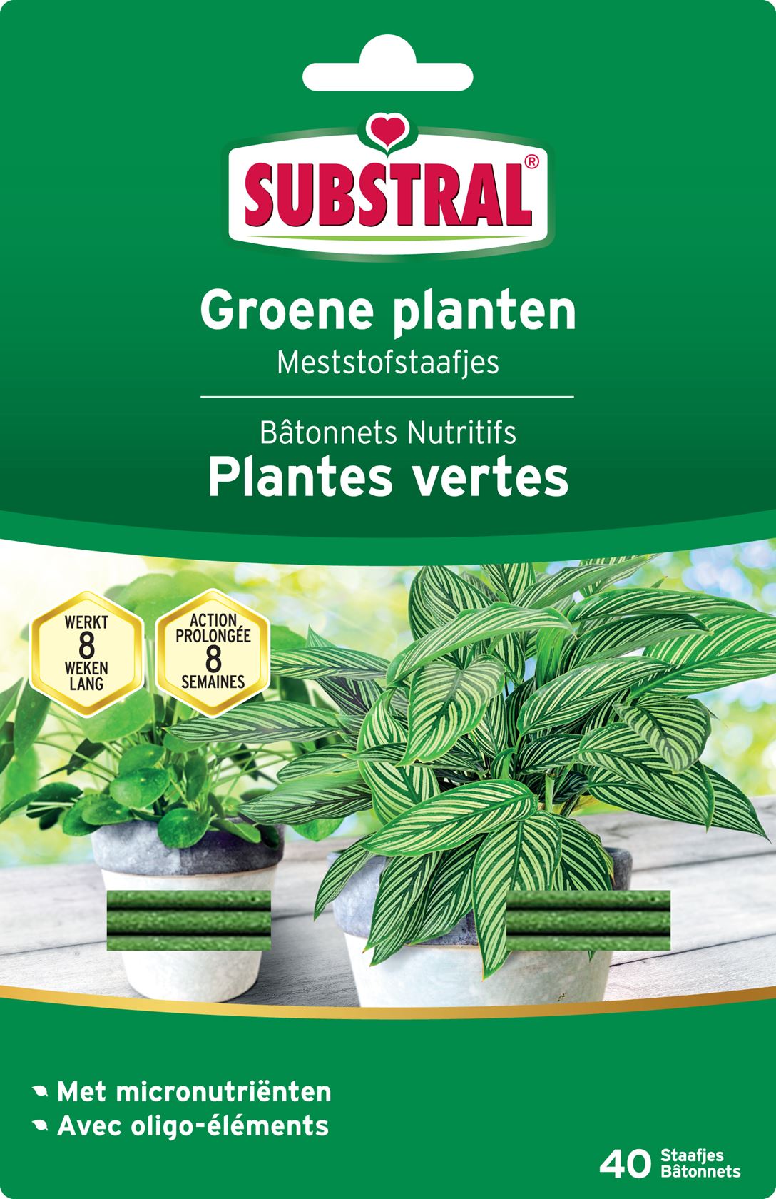 Substral-Meststofstaafjes-Voor-Groene-Planten