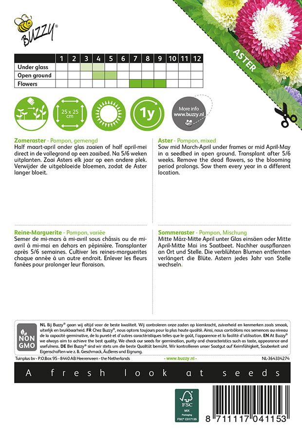 Buzzy-Callistephus-Zomeraster-Pompon-gemengd