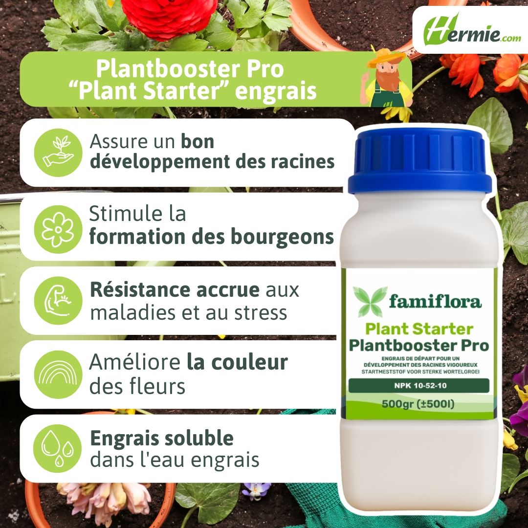 plantbooster-Pro-500gr-Plant-Starter-10-52-10-SPEC
