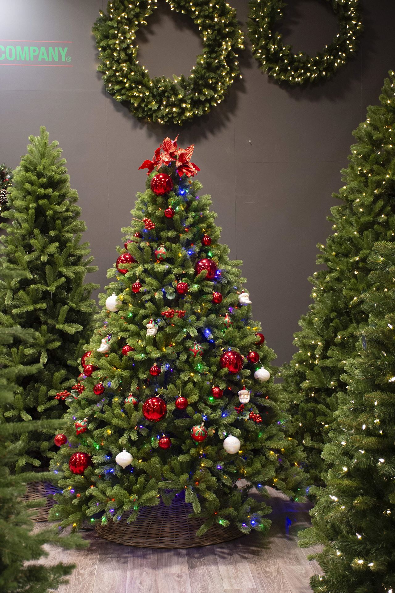 Douglas-exclusive-243cm-1000led