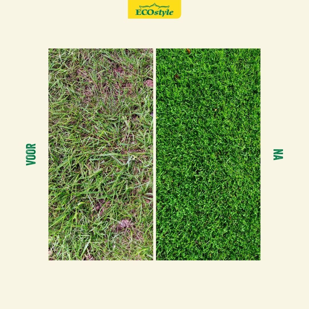 Graszaad-Herstel-100-g