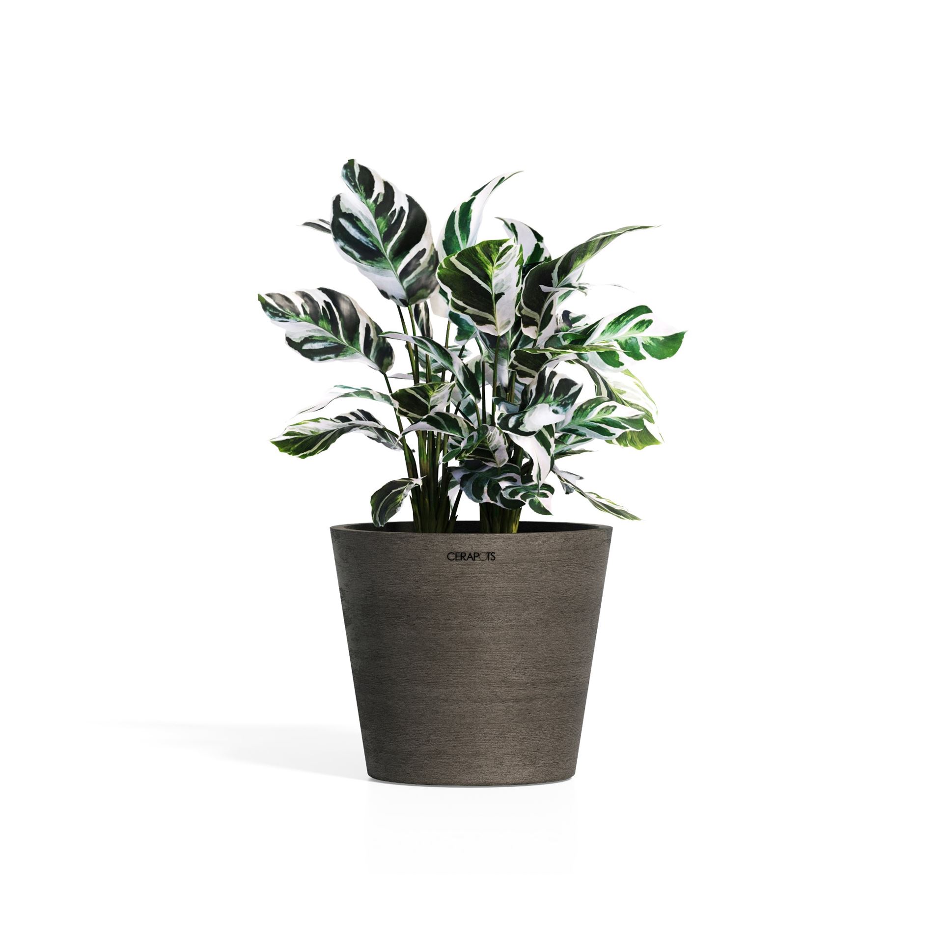 cerapots-Onku-35-Sepia