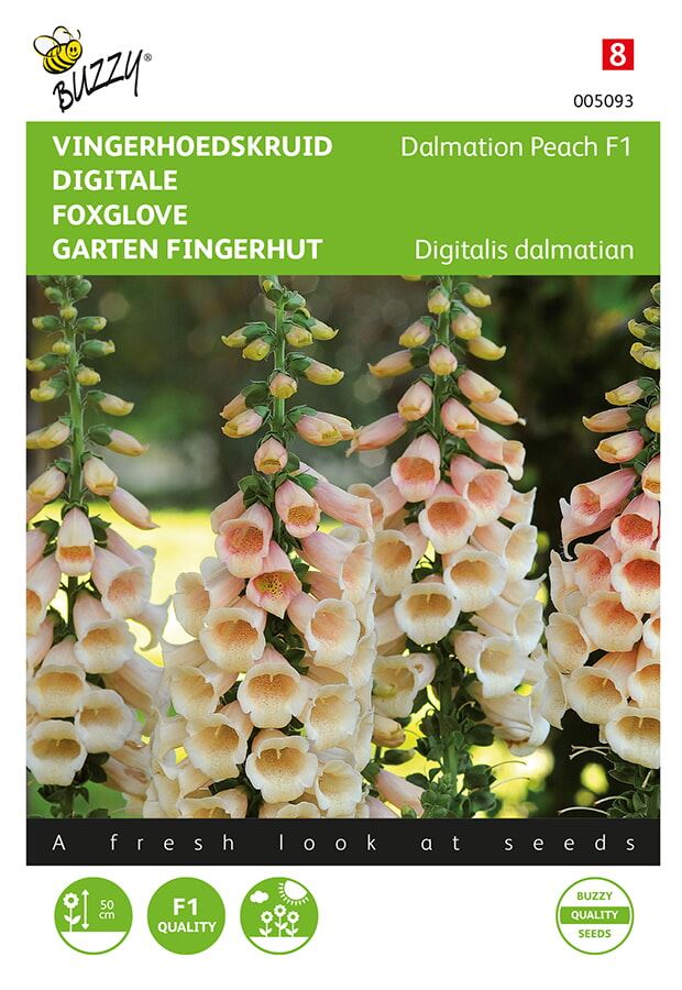 Buzzy-Digitalis-Vingerhoedskruid-Dalmation-F1-Peach