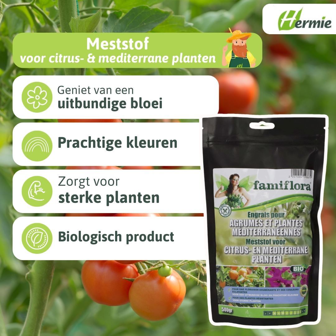 Meststof-voor-citrus-en-mediterrane-planten-500gr