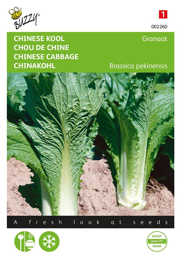 Chinese Cabbage Garnet