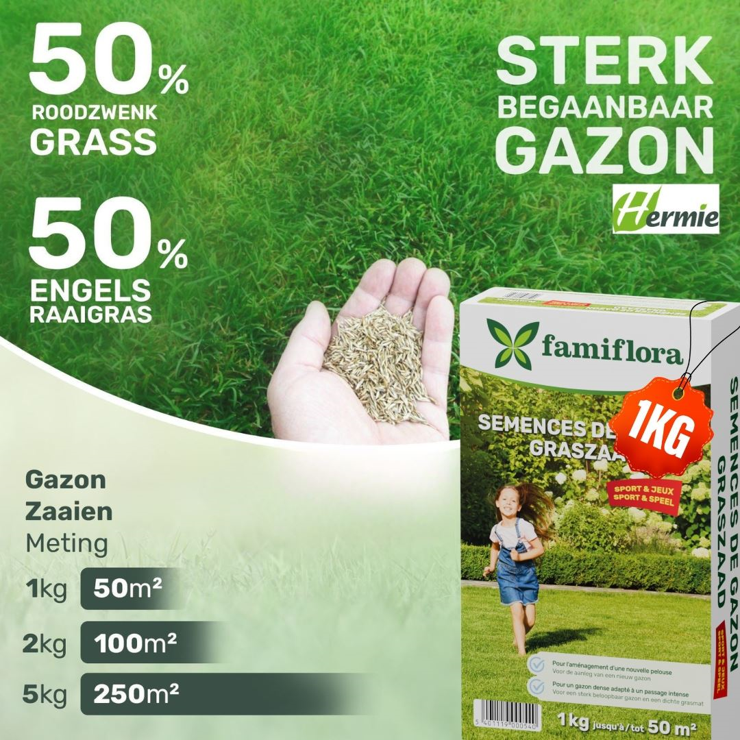 Famiflora graine de gazon Play & Sport - pour l'établissement d'un nouveau gazon - 1kg jusqu'à 50m²
