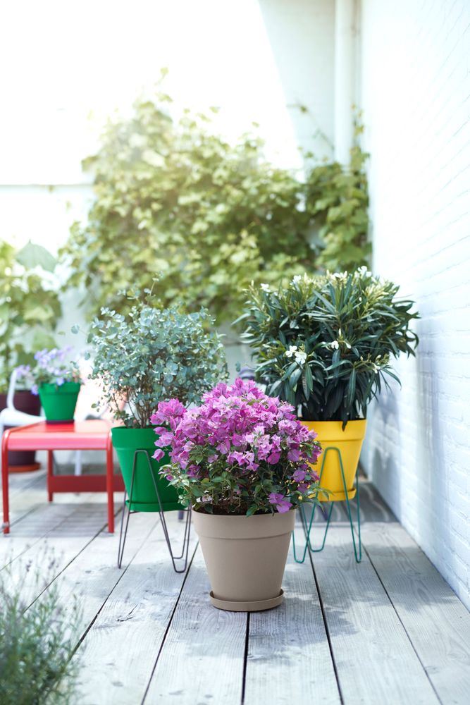 schotel-Loft-rond-21cm-oker