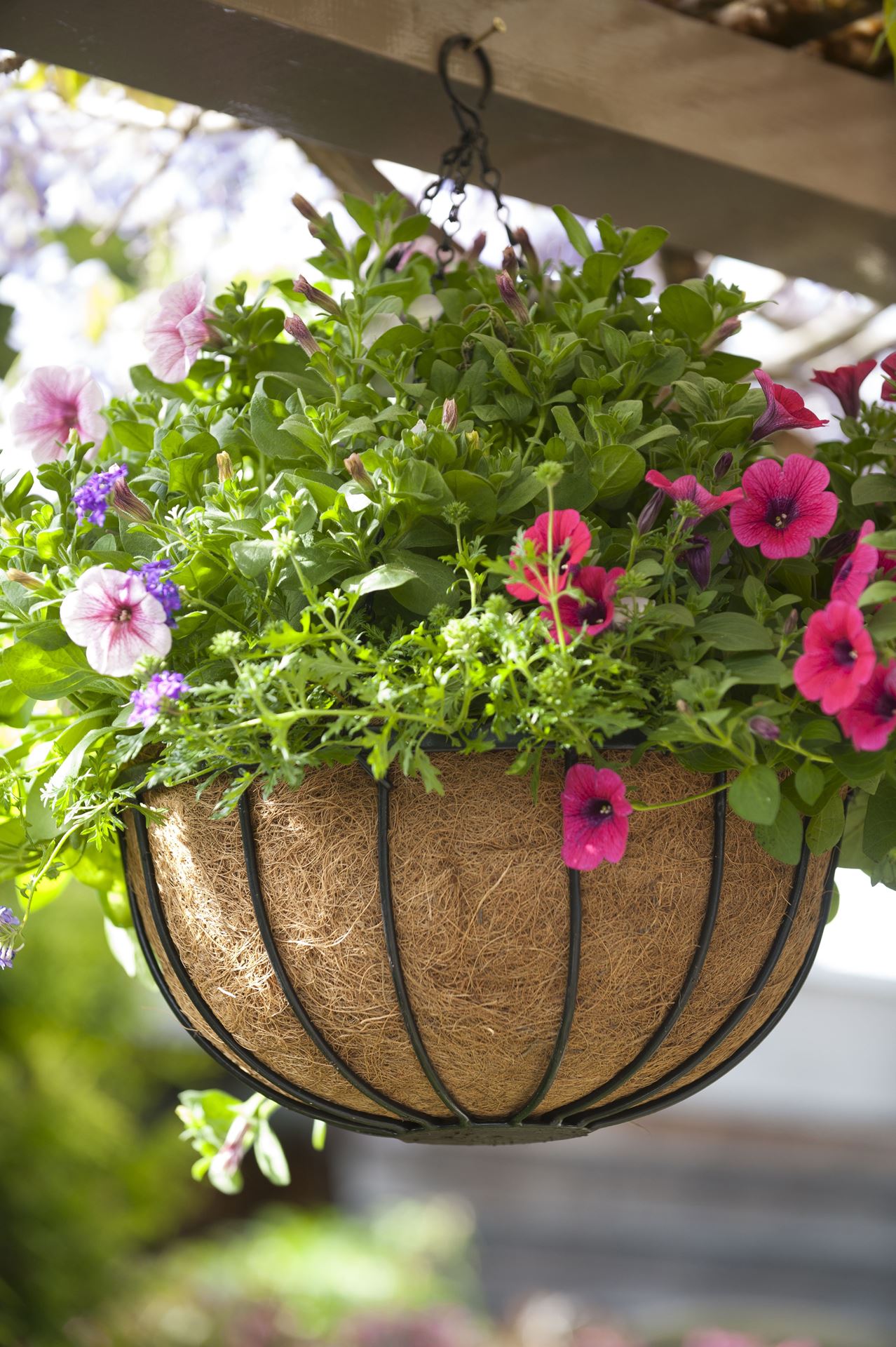 Hanging-basket-smeedijzer-zwart-incl-ketting-H20x-35cm