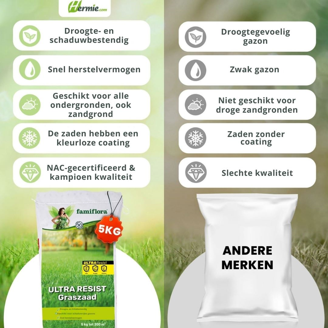 Famiflora semence de gazon 5kg jusqu'à 200m² - Ultra Resist - tout usage