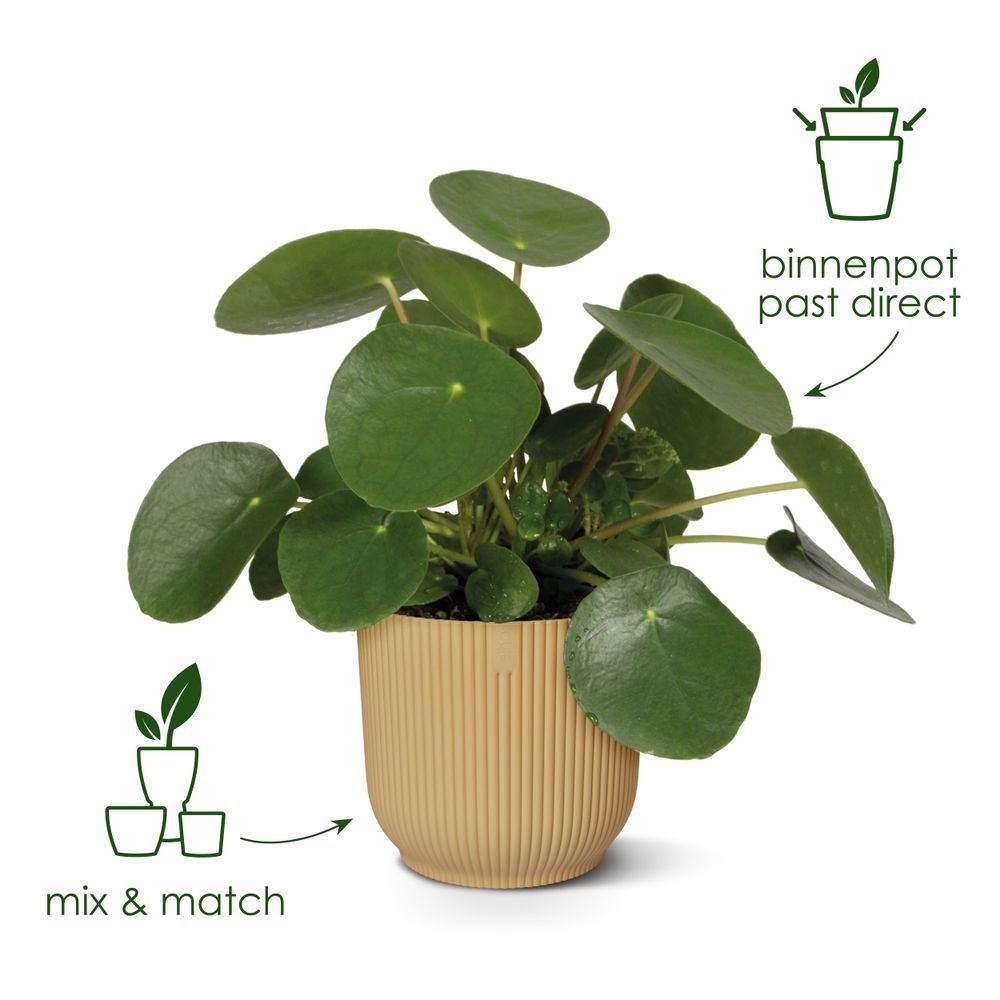 Bloempot-Vibes-fold-rond-16cm-Sorbet-groen