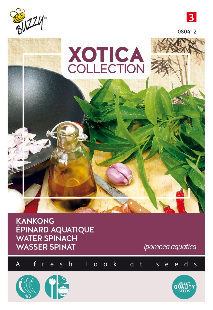 Xotica-Kankong