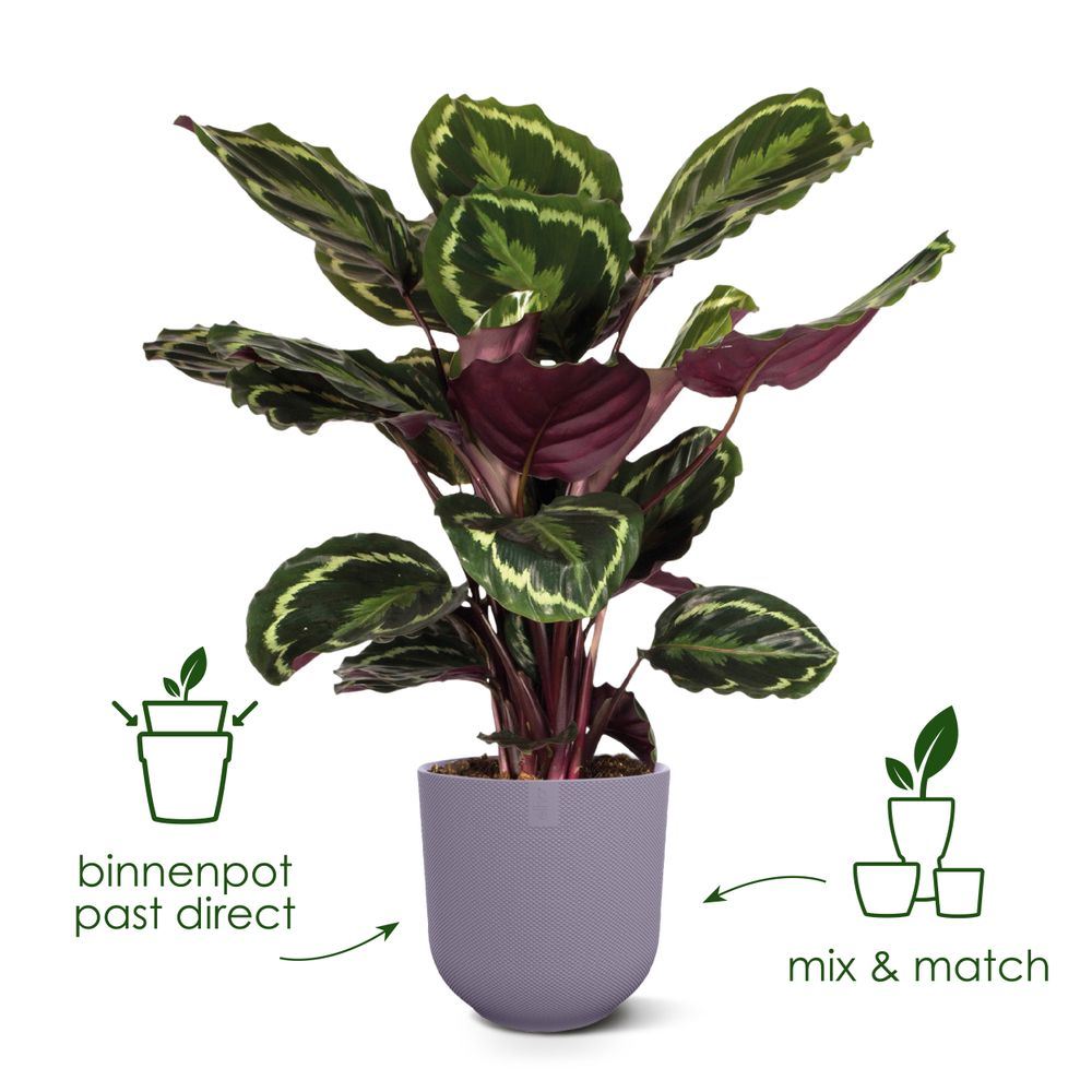 Bloempot-jazz-rond-23cm-amber-geel