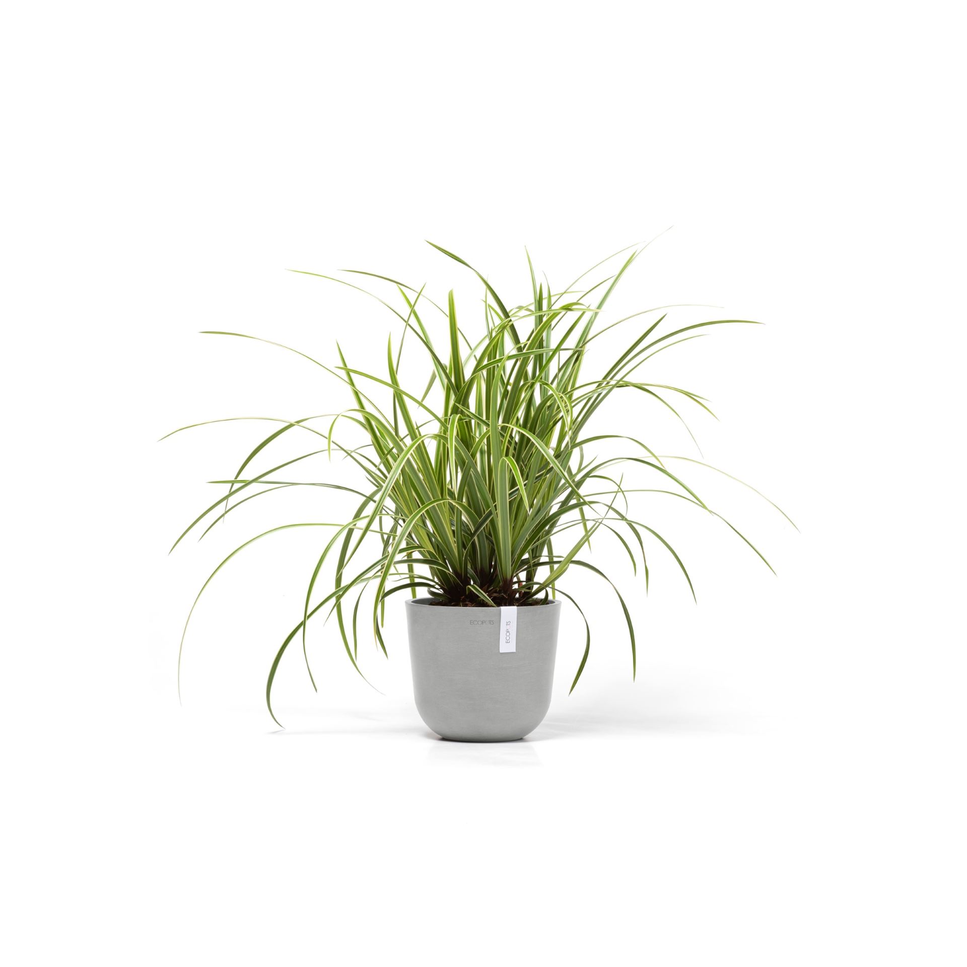 Ecopots-oslo-mini-white-grey-19-cm-H16-5-cm