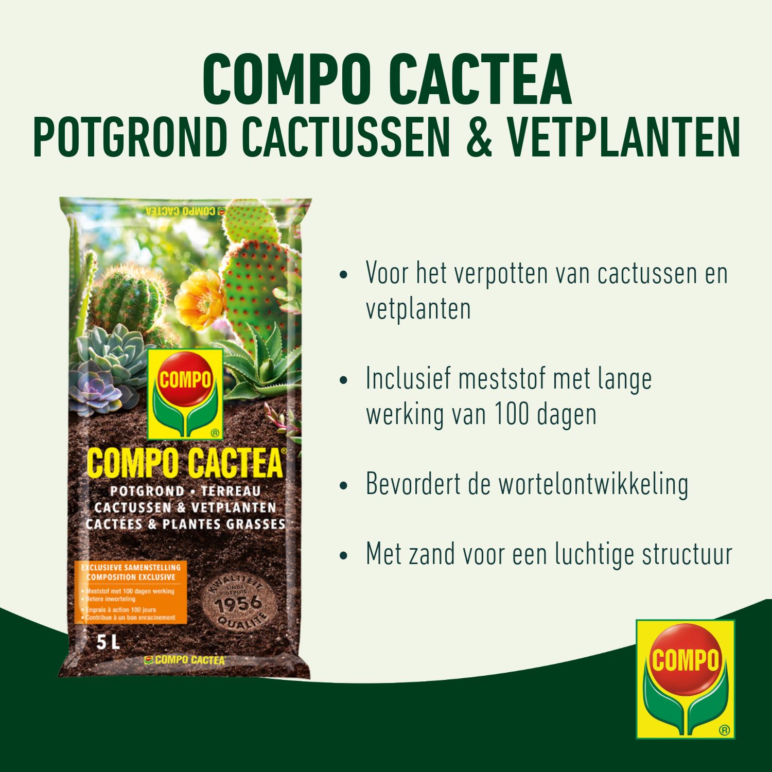 Compo-sana-cactuspotgrond-5L