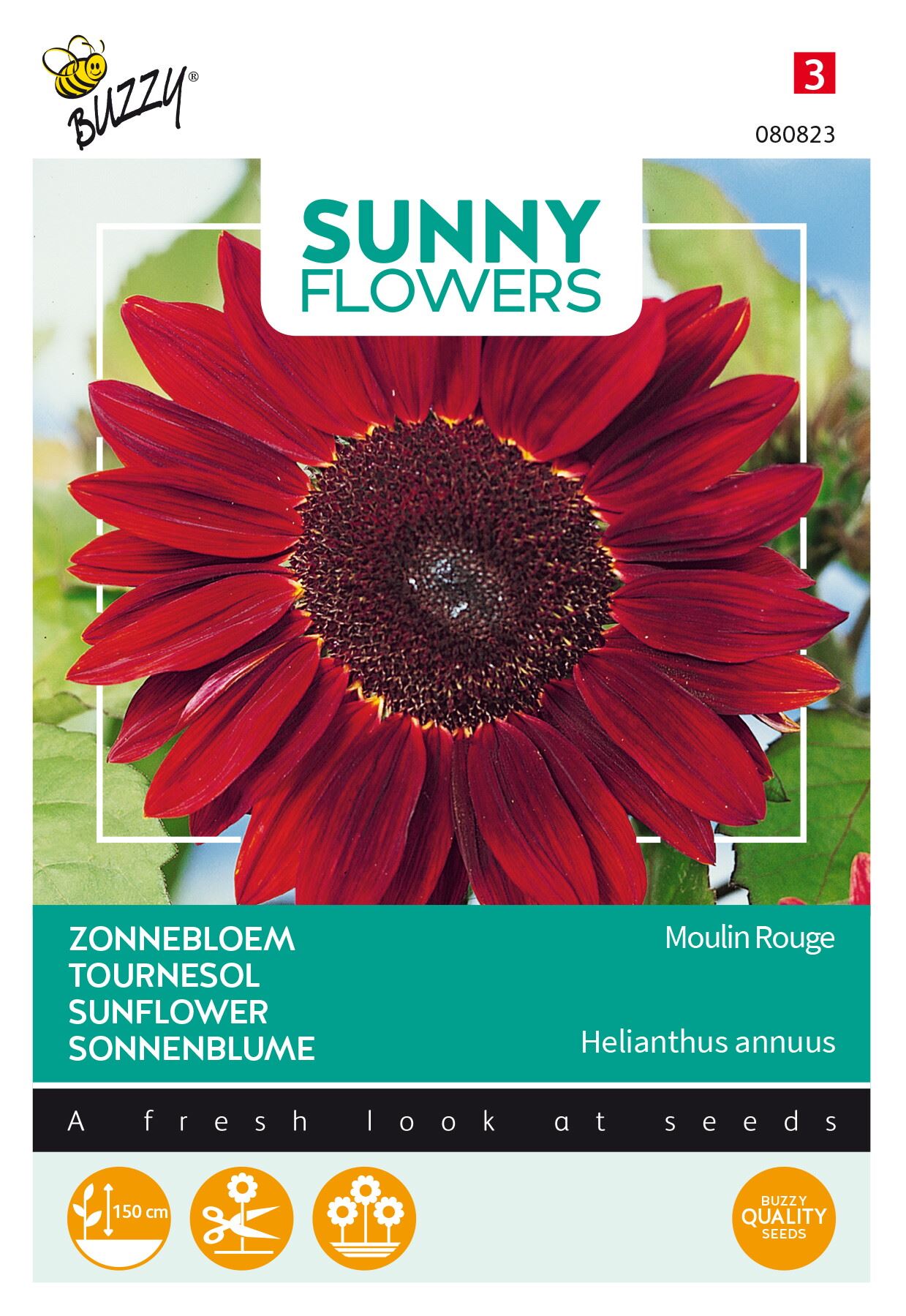 Buzzy-Sunny-Flowers-Zonnebloem-Moulin-Rouge