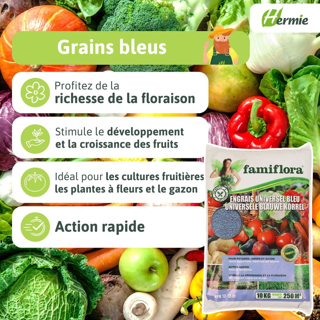 Famiflora fertilizer - blue grain - 10 kg - for 250 m²