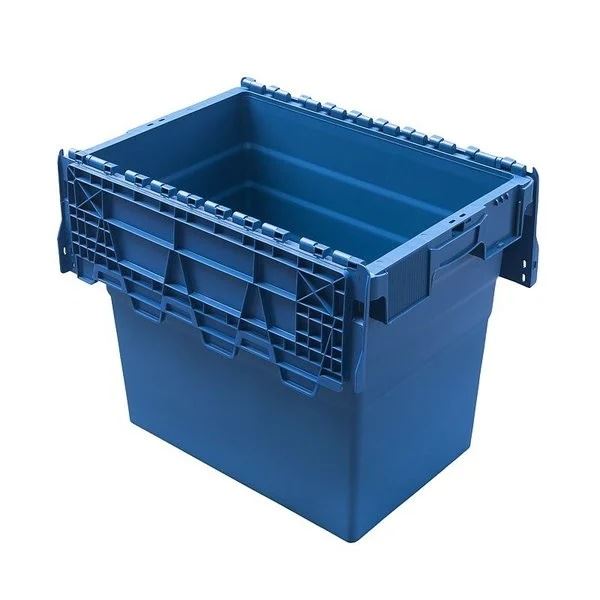 Chicory forcing tray with lid