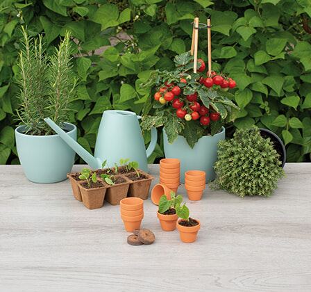 SOGO-Stenen-terracotta-potjes-4-5cm-12st-