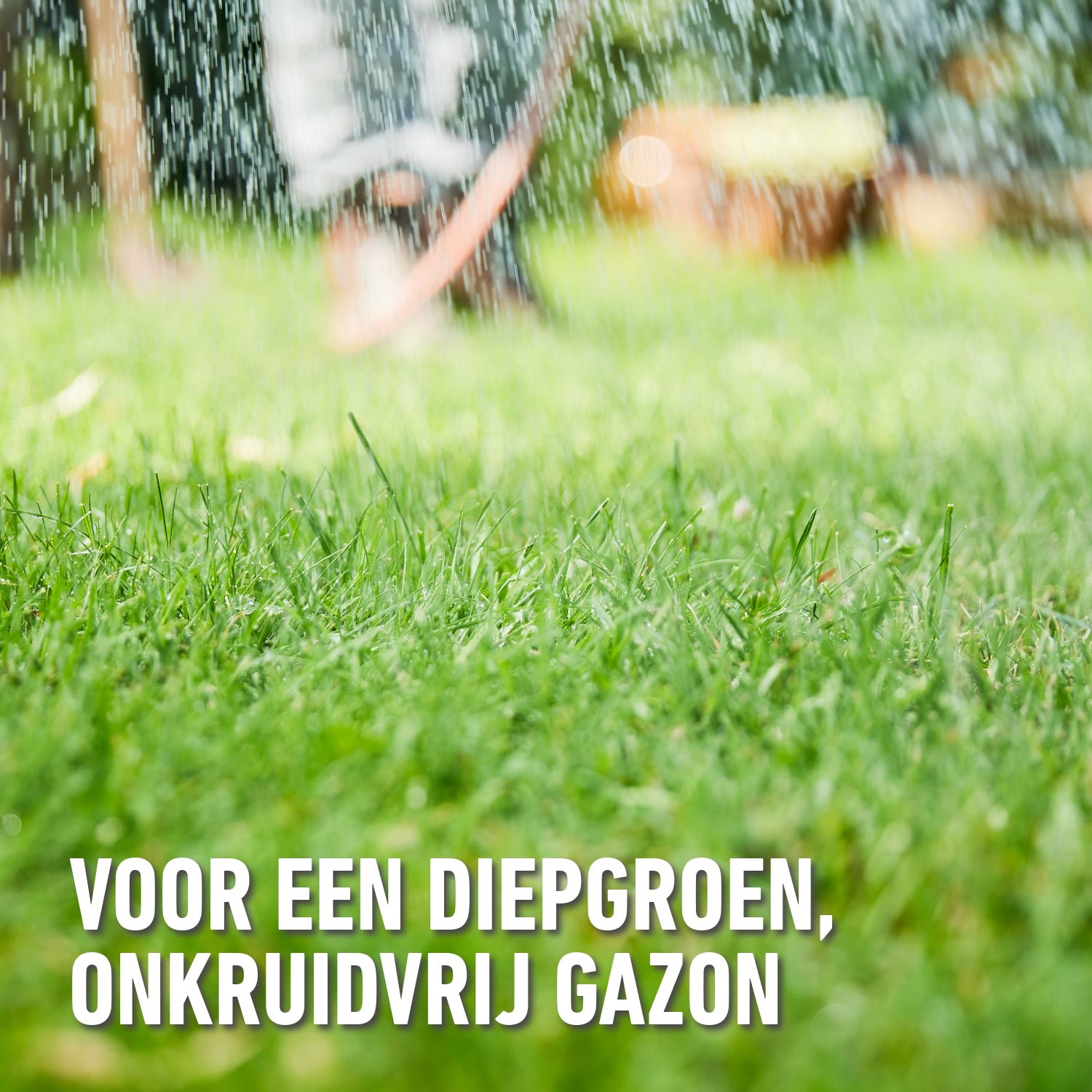 gazonmeststof-plus-onkruidbestrijder-50-m-1-5kg