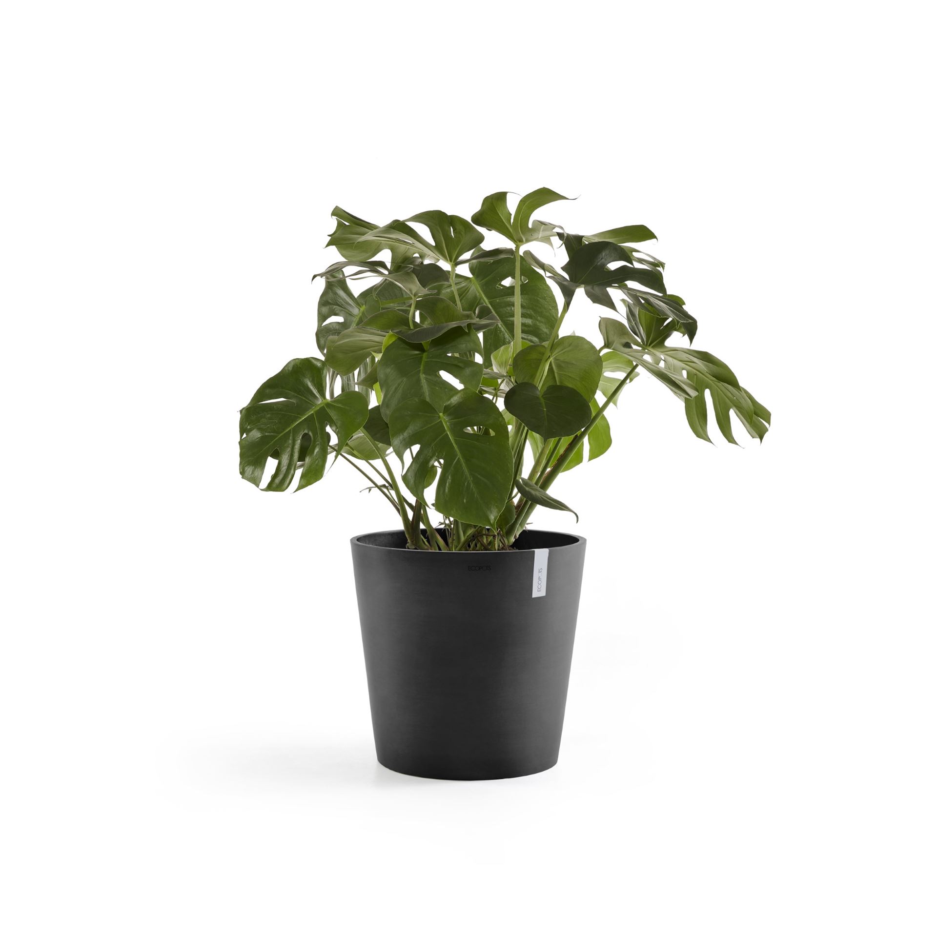 Ecopots-amsterdam-dark-grey-60-cm-H56-cm