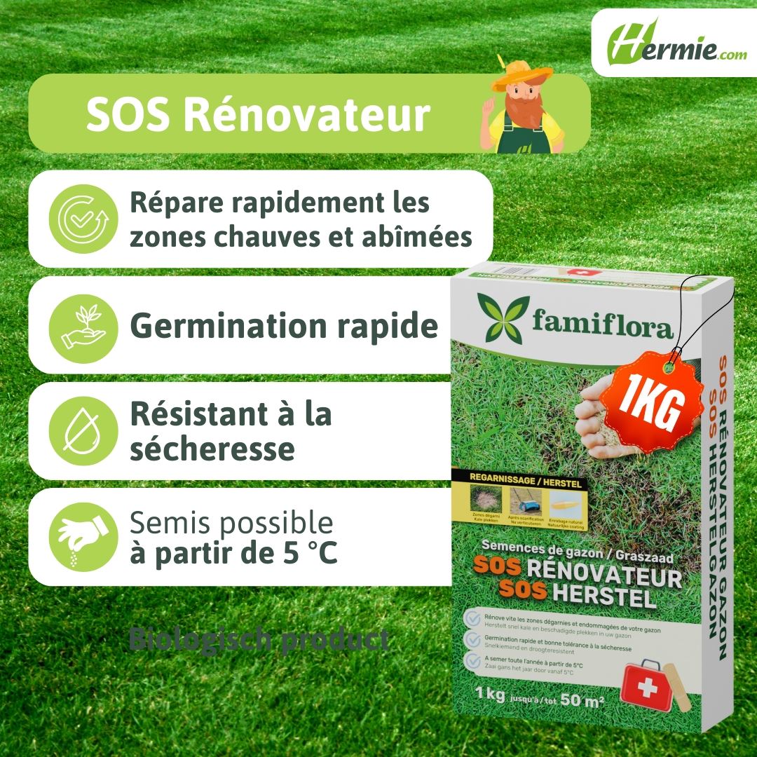 SOS-Herstelgazon-1Kg-50m-