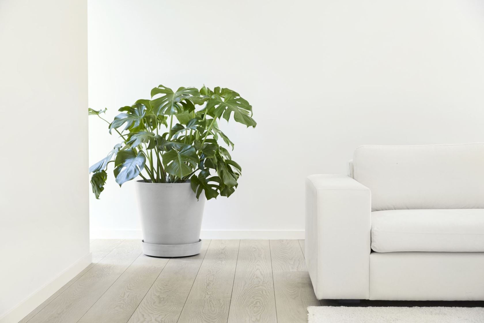 Ecopots-onderschotel-rond-met-wielen-white-grey-50-cm-H9-cm