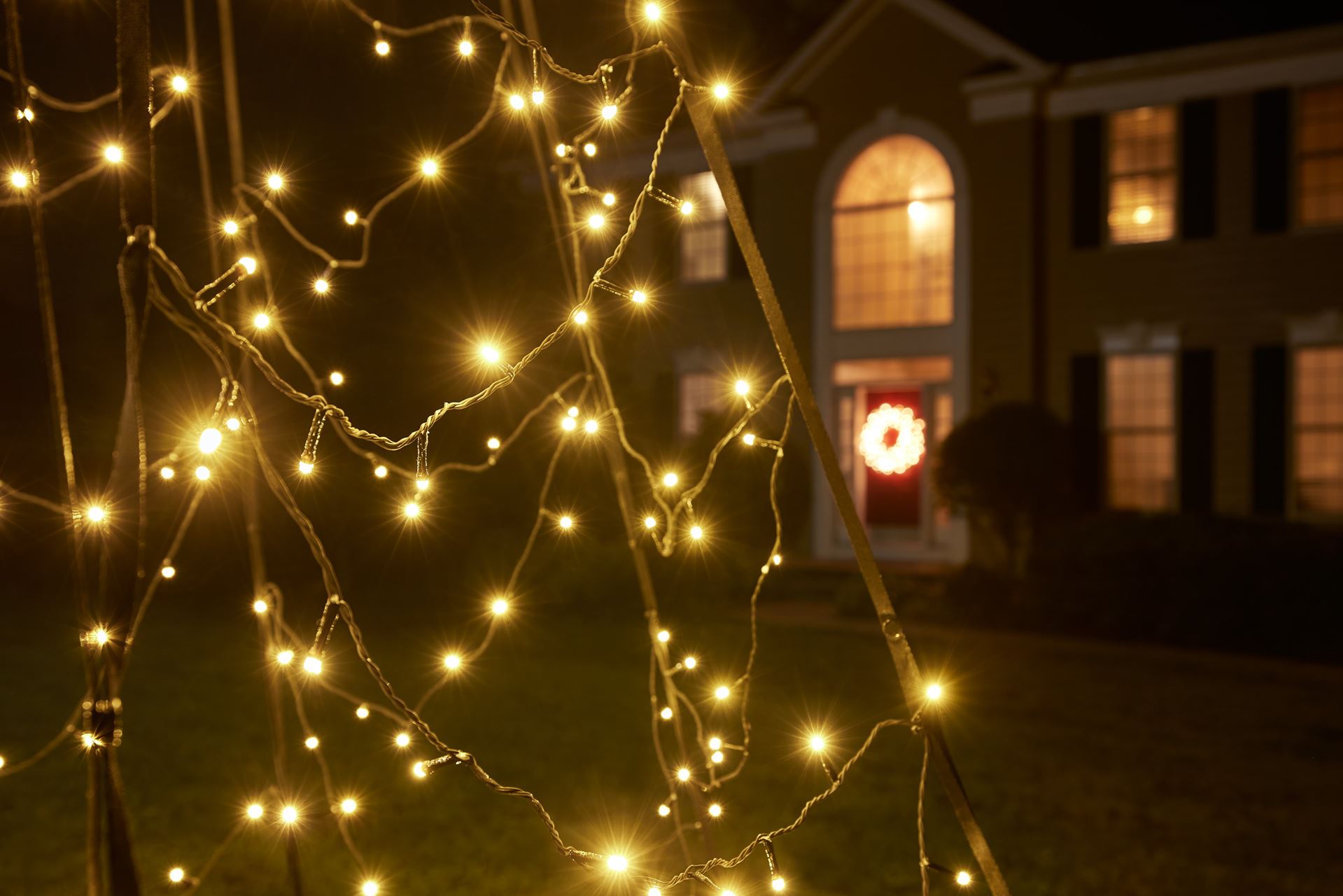 Fairybell-kerstverlichting-kerstboom-6M-hoog-1200-LED-lampjes-in-warmwitte-kleur-Voor-buiten