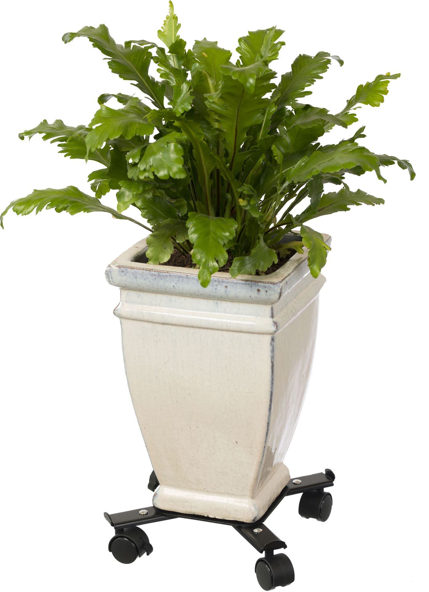Verstelbare-planttrolley-epoxy-metaalkleur-mat-zwart-4-armen-draaggewicht-100-kg-4-PP-40-mm-wielen-2