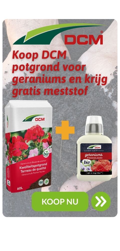 TW_DCM_actie-potgrond-geraniums_NL