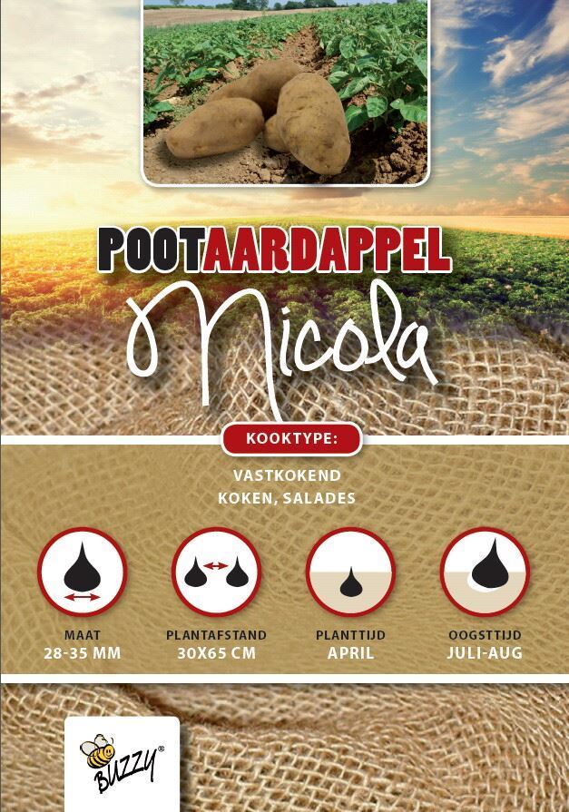 Pootaardappel-Nicola-zakje-1kg