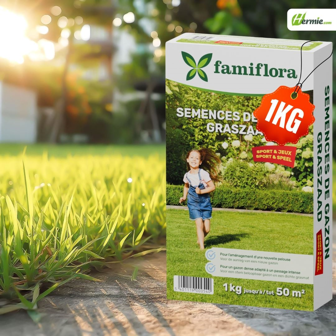 Famiflora graine de gazon Play & Sport - pour l'établissement d'un nouveau gazon - 1kg jusqu'à 50m²